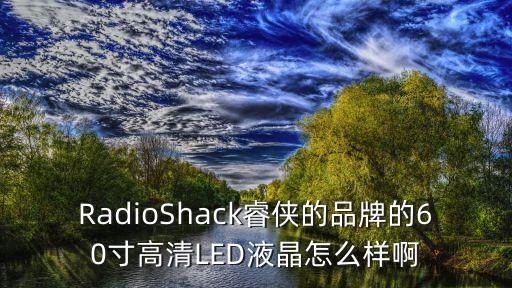 radioshack中國店面,Radioshack失敗的原因