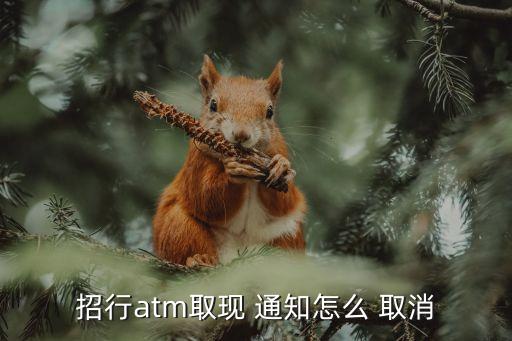 招行atm取現(xiàn) 通知怎么 取消