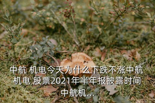 中航 機(jī)電今天為什么下跌不漲中航 機(jī)電 股票2021年半年報(bào)披露時(shí)間中航機(jī)...