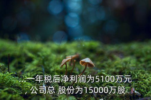 ...一年稅后凈利潤為5100萬元, 公司總 股份為15000萬股