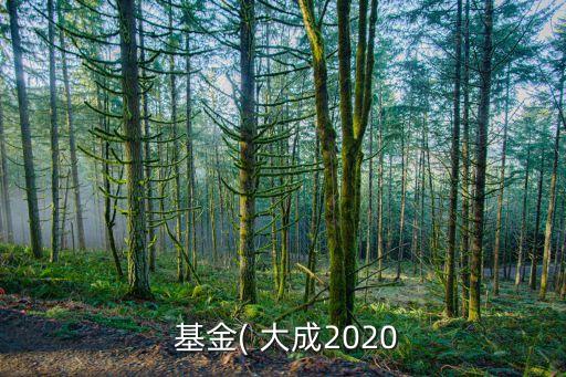  基金( 大成2020