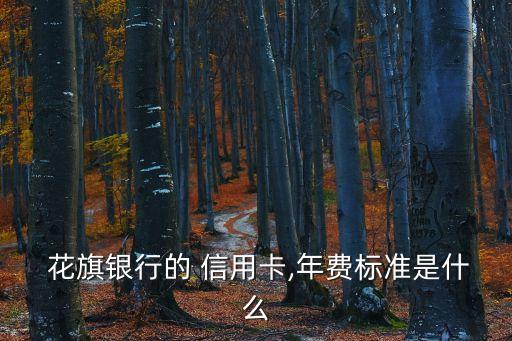  花旗銀行的 信用卡,年費(fèi)標(biāo)準(zhǔn)是什么