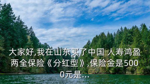 大家好,我在山東買了中國 人壽鴻盈兩全保險(xiǎn)《分紅型》,保險(xiǎn)金是5000元是...