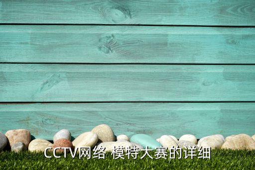 CCTV網(wǎng)絡 模特大賽的詳細