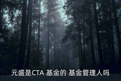 元盛是CTA 基金的 基金管理人嗎