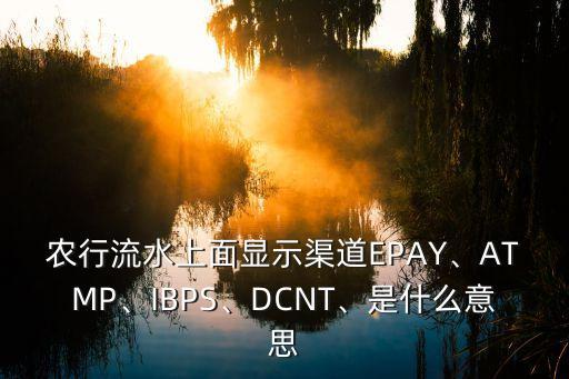 農(nóng)行流水上面顯示渠道EPAY、ATMP、IBPS、DCNT、是什么意思