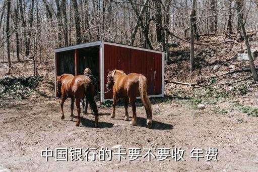 中國(guó)銀行卡有沒(méi)有年費(fèi),現(xiàn)在的銀行卡有沒(méi)有年費(fèi)