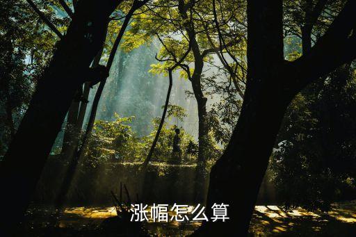  漲幅怎么算