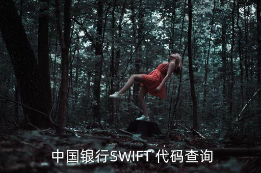  中國銀行SWIFT 代碼查詢