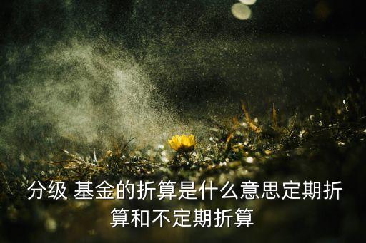  分級 基金的折算是什么意思定期折算和不定期折算