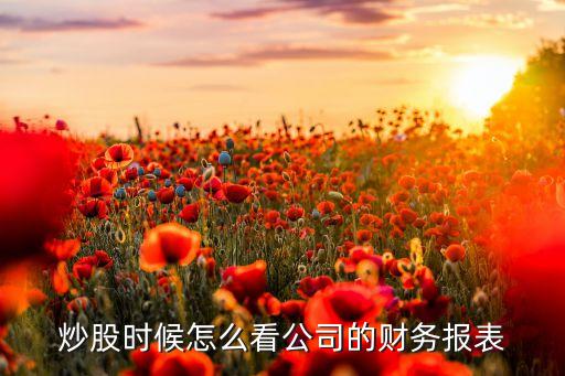 炒股時候怎么看公司的財(cái)務(wù)報(bào)表