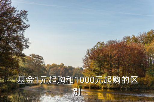  基金1元起購(gòu)和1000元起購(gòu)的區(qū)別