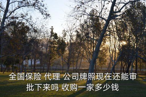 全國保險 代理 公司牌照現(xiàn)在還能審批下來嗎 收購一家多少錢