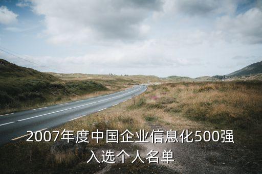 2007年度中國企業(yè)信息化500強入選個人名單