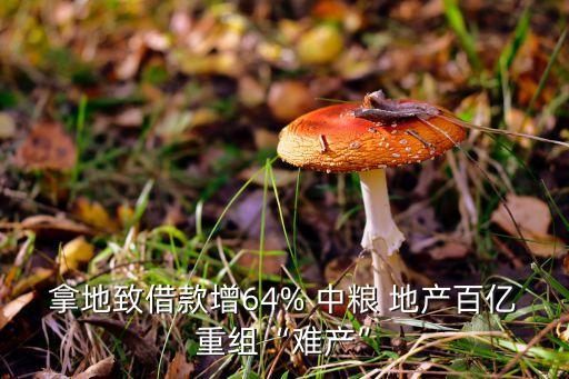 拿地致借款增64% 中糧 地產百億重組“難產”