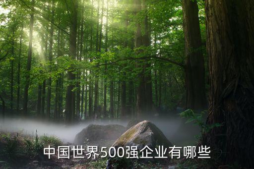 中國世界500強企業(yè)有哪些