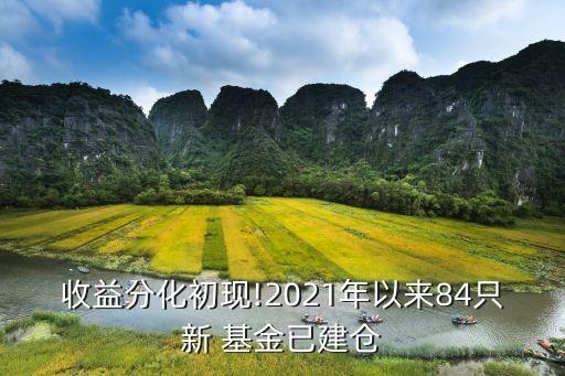 收益分化初現(xiàn)!2021年以來84只新 基金已建倉