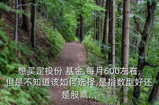 想買定投份 基金,每月600左右,但是不知道該如何選擇,是指數(shù)型好還是股票...