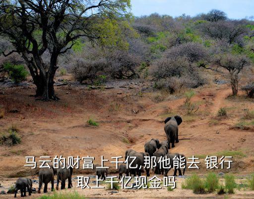  馬云的財富上千億,那他能去 銀行取上千億現(xiàn)金嗎