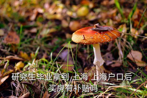 研究生畢業(yè)拿到 上海 上海戶口后 買房有補貼嗎