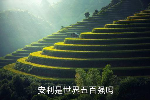  安利是世界五百強(qiáng)嗎