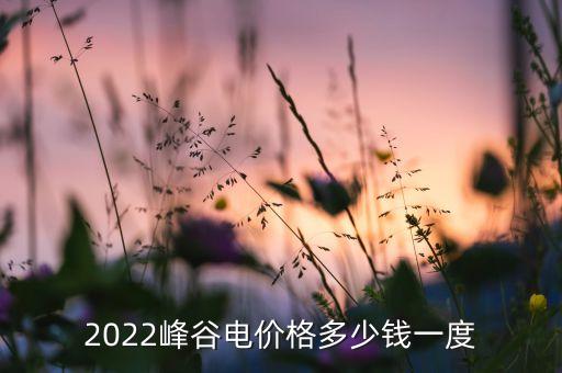 2022峰谷電價(jià)格多少錢一度