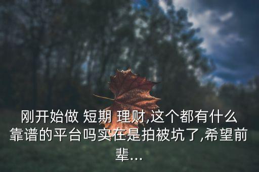 剛開始做 短期 理財,這個都有什么靠譜的平臺嗎實在是拍被坑了,希望前輩...