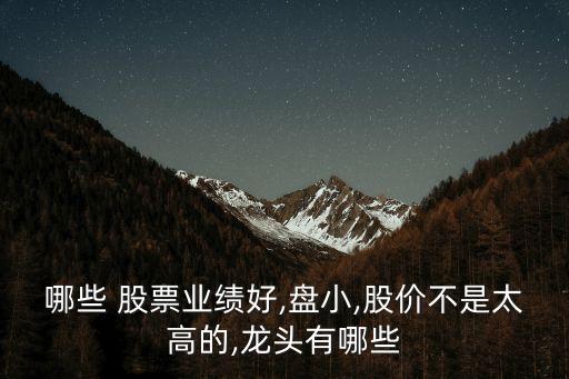 哪些 股票業(yè)績(jī)好,盤小,股價(jià)不是太高的,龍頭有哪些