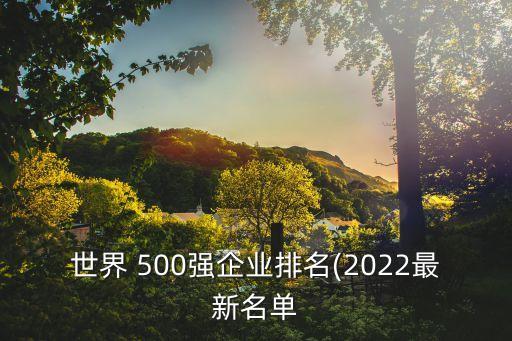 世界 500強企業(yè)排名(2022最新名單