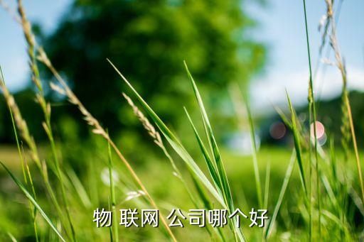 物 聯(lián)網(wǎng) 公司哪個(gè)好