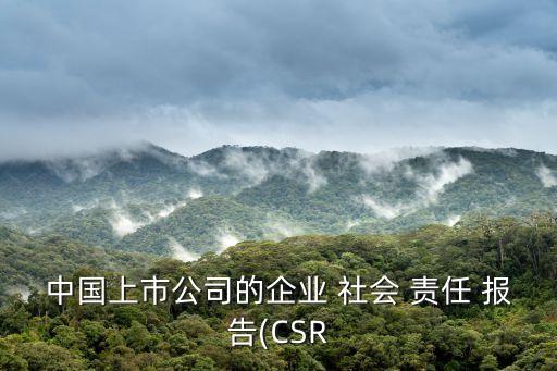 中國上市公司的企業(yè) 社會 責(zé)任 報告(CSR