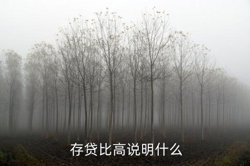  存貸比高說明什么