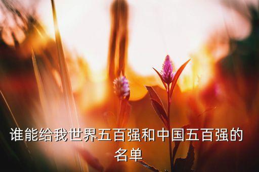 誰能給我世界五百強(qiáng)和中國五百強(qiáng)的 名單