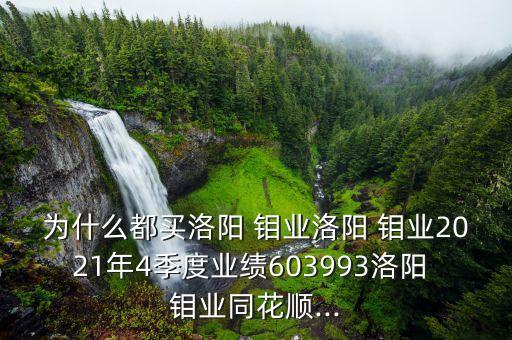 為什么都買洛陽 鉬業(yè)洛陽 鉬業(yè)2021年4季度業(yè)績603993洛陽 鉬業(yè)同花順...