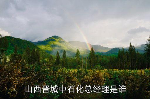 山西中石油公司,中石油山西煤層氣公司