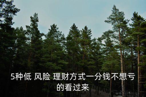 5種低 風(fēng)險 理財方式一分錢不想虧的看過來