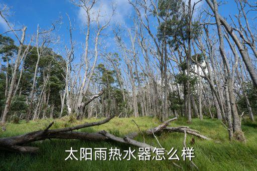 太陽(yáng)雨集團(tuán)子公司有哪些