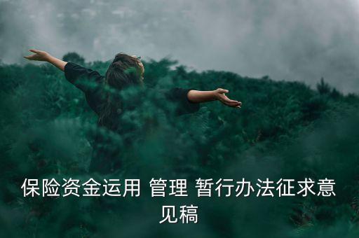 保險(xiǎn)資金運(yùn)用 管理 暫行辦法征求意見稿