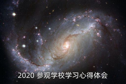 2020 參觀學(xué)校學(xué)習(xí)心得體會