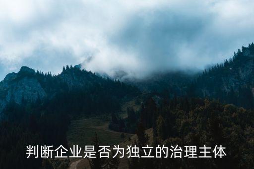 公司獨立性,公司的獨立性體現(xiàn)在哪些方面