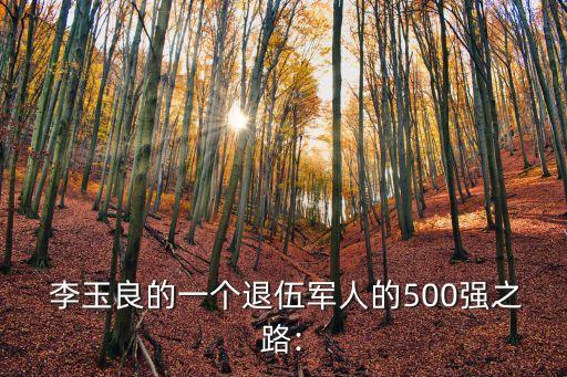  李玉良的一個退伍軍人的500強之路: