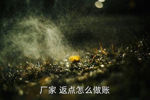 廠家 返點(diǎn)怎么做賬