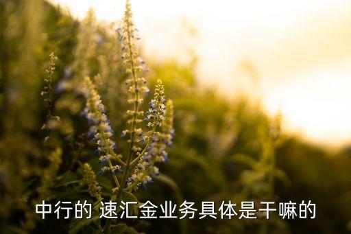 中行的 速匯金業(yè)務(wù)具體是干嘛的