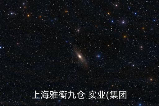 瑕和實(shí)業(yè)有限公司,星際光(上海)實(shí)業(yè)有限公司