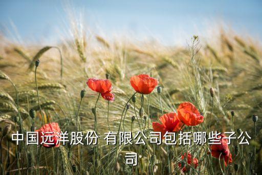 中國遠(yuǎn)洋股份 有限公司包括哪些子公司