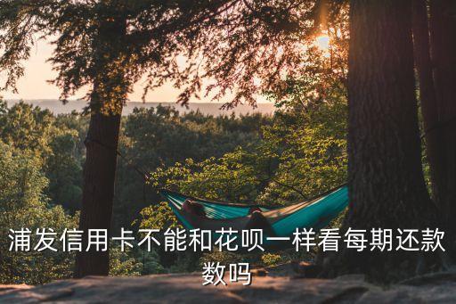 浦發(fā)信用卡不能和花唄一樣看每期還款數(shù)嗎