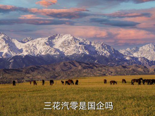  三花汽零是國(guó)企嗎