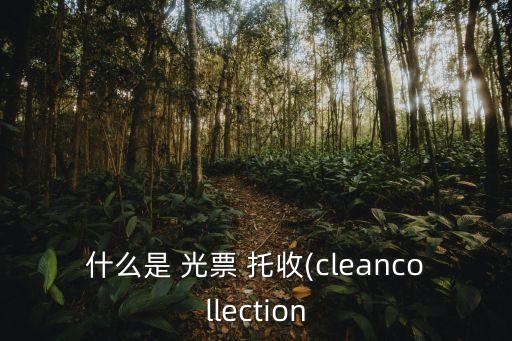 什么是 光票 托收(cleancollection