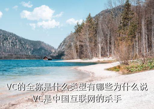 VC的全稱是什么類型有哪些為什么說VC是中國互聯(lián)網(wǎng)的殺手