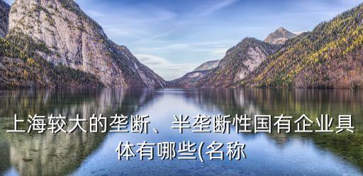 上海較大的壟斷、半壟斷性國(guó)有企業(yè)具體有哪些(名稱(chēng)